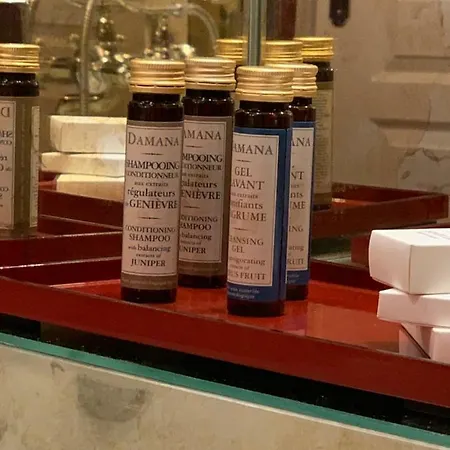 Hotell Maison Lepic Montmartre